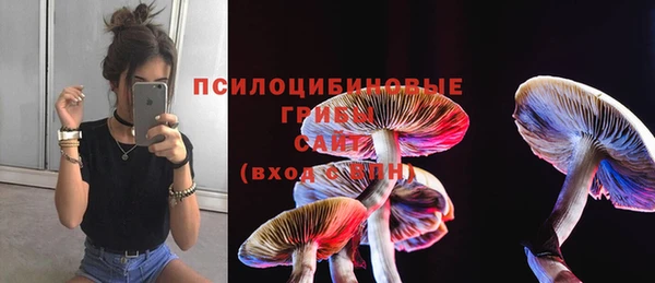 каннабис Алзамай