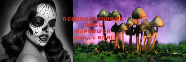 каннабис Алзамай
