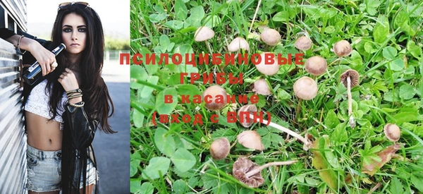 каннабис Алзамай